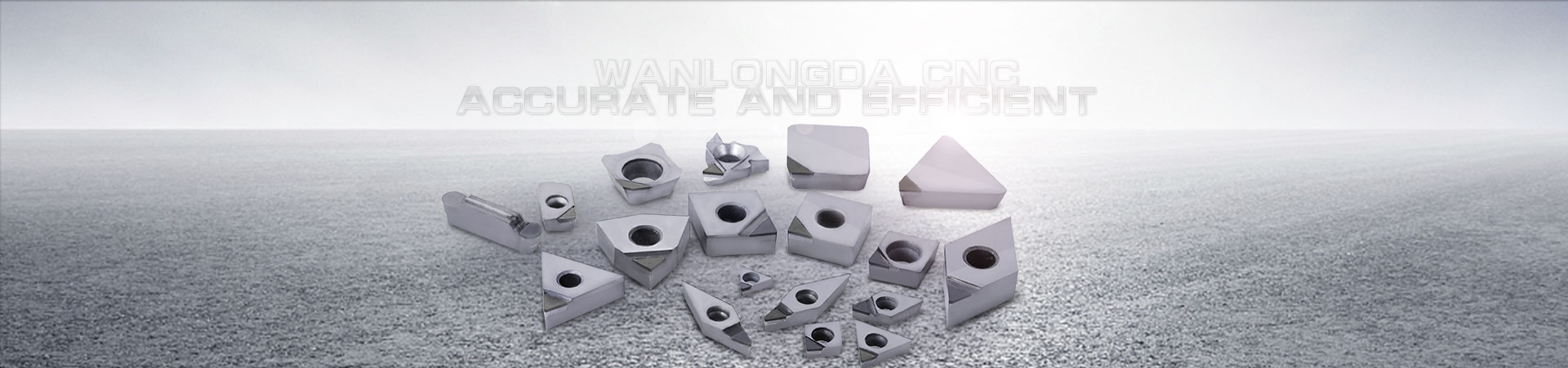 Shandong Tianlang Environmental Protection Technology Co., Ltd.